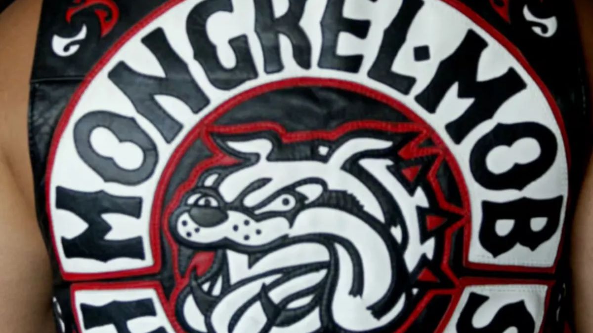 Gang insignia patch at the center of the High Court Bill of Rights declaration